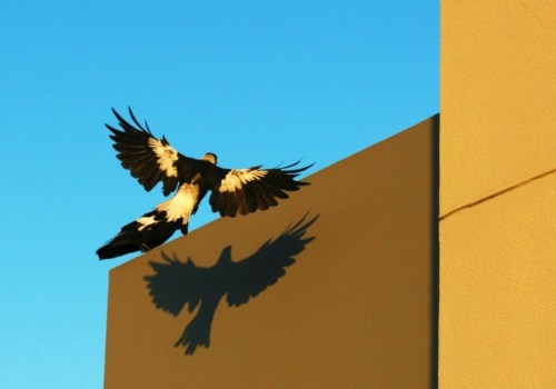 The Art of Creating Suspense in Literature